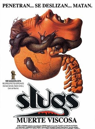 Cartaz do filme em espanhol